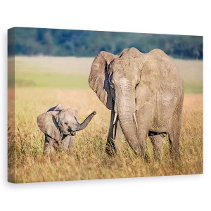 Tablou canvas - Mama Elefant Cu Puiul, Africa, Safari, Masai Mara, 80 x 120 cm