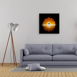 Tablou canvas - Mandarine, Portocaliu, Alimente, Fructe, Iluminare Din Spate, 60 x 60 cm - Img 2