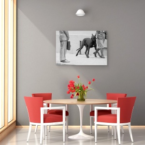Tablou canvas - Marele Bodyguard Danez , Caine, Bodyguard, Intalnire, Protectie, Grozav, 40 x 60 cm - Img 4