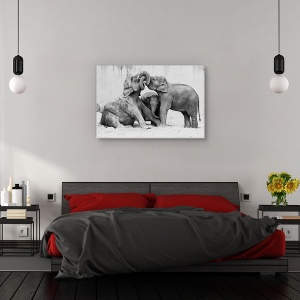 Tablou canvas - Menage a trois, Animal, Elefant, Zoo, Lupta, 60 x 90 cm - Img 3