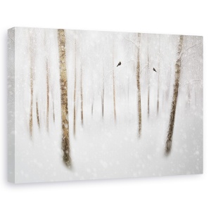 Tablou canvas - Mesteceni In Iarna, Zapada, Copaci, Pasari, 80 x 120 cm