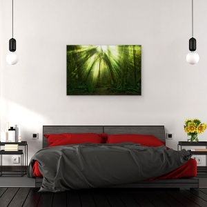 Tablou canvas - Miracolul, Statele Unite Ale Americii, Washington, Padurea Tropicala, Razele De Soare, Lumina, 40 x 60 cm - Img 3
