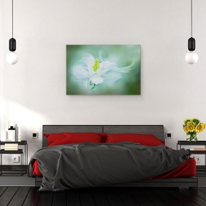 Tablou canvas - Mistic, Floare, Alb, Prim-Plan, Primavara, 80 x 120 cm - Img 3
