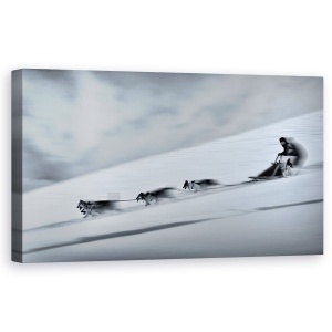 Tablou canvas - Mushing, Viteza, Miscare, Panta, Caini, Fuga, 50 x 100 cm