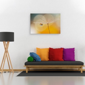 Tablou canvas - Muzica de Noapte, Papadie, Pene, Floare, 40 x 60 cm - Img 2