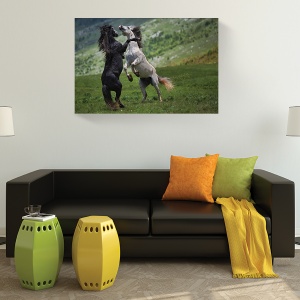 Tablou canvas cai natură