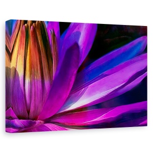 Tablou canvas - Natura, Flori, Petale Retro, Pictura Ii, 60 x 90 cm