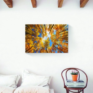Tablou decorativ natură toamna cu frunze de pădure pe canvas