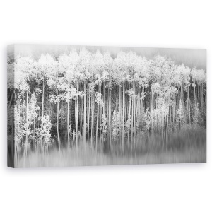 Tablou canvas - Natura, Peisaj, Padure, Alb-Negru, Pictura, 50 x 100 cm