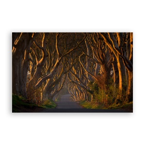 Tablou Canvas - Natura, Peisaj, Padure, Toamna, 80 x 120 cm