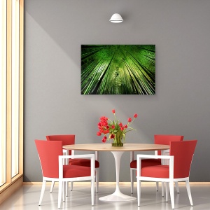 Tablou canvas - Noapte De Bambus, Frunzis, Vegetatie, Jungla, 60 x 90 cm - Img 4