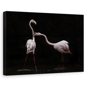 Tablou canvas - Nu Totul Este Roz, Camargue, Franta, Flamingo, Roz, Apa, 60 x 90 cm