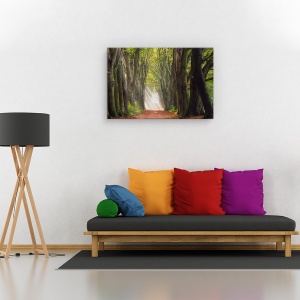Tablou canvas - O zi glorioasa, Peisaj, Padure, Copaci, Ceata, 80 x 120 cm - Img 2