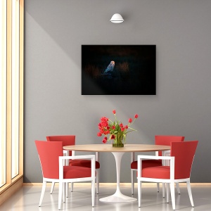 Tablou canvas - Observatorul, Bufnita, Pasare, Intuneric, Punct, 40 x 60 cm - Img 4