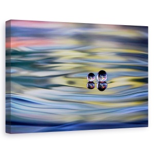 Tablou canvas - Oo, Natura Moarta, Abstract, Picatura, 60 x 90 cm