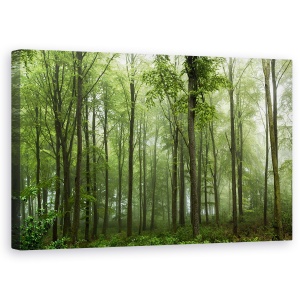 Tablou canvas - Padure, Danemarca, Ceata, Verde, Iutlanda, 50 x 80 cm
