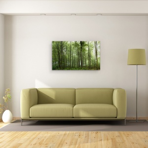 Tablou canvas - Padure, Danemarca, Ceata, Verde, Iutlanda, 50 x 80 cm - Img 2