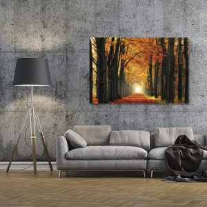 Tablou Canvas - Padure, Frunze, Tunel, Lumina, Toamna, 80 x 120 cm - Img 2