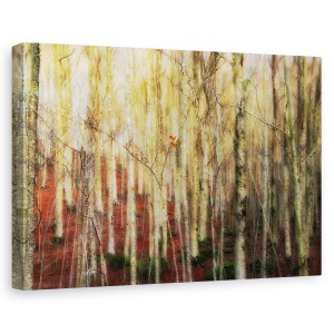 Tablou canvas - Padurea Fantomelor, Mesteacan, Peisaj, Toamna, Toamna, 60 x 90 cm