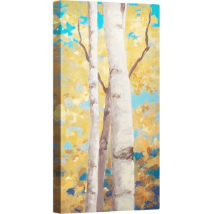 Tablou canvas - Panoul Doubloons I, 50 x 100 cm