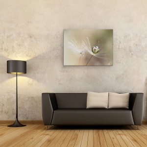Tablou Canvas - Papadie, Pane, Delicata, Bland, 75 x 100 cm - Img 2