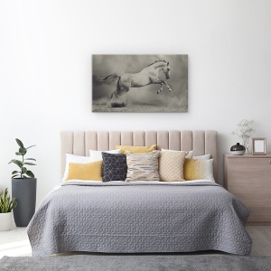 Tablou canvas - Parical, Cal, Animal, Salt, 50 x 80 cm - Img 3