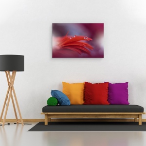Tablou canvas - Pasiunea Rosie, Aproape, Picatura, Apa, Floare, 40 x 60 cm - Img 2