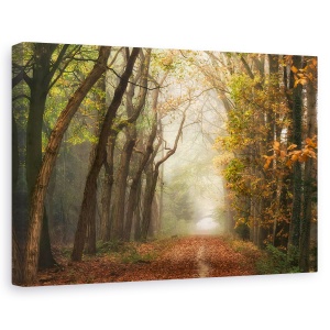 Tablou canvas - Peisaj, Natura, Padure, Toamna, Pictura, 40 x 60 cm
