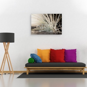 Tablou canvas - Perle, Iran, Apa, Macro, 40 x 60 cm - Img 2