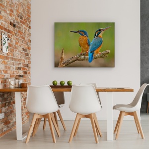 Tablou canvas - Pescarus De Mare, Pereche, Cuplu, Pasari, Natura, 75 x 100 cm - Img 4