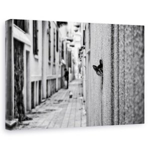 Tablou canvas - Pet, Pisica, Pet, Strada, Distractie, Amuzant, 60 x 90 cm
