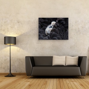 Tablou canvas - Pickaback, Ratusca, Copil, Dragut, Imbratisare, 50 x 70 cm - Img 2