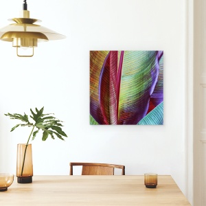 Tablou canvas - Piele De Banana, Frunza, Bananier, Model, Frunze, 60 x 60 cm - Img 4