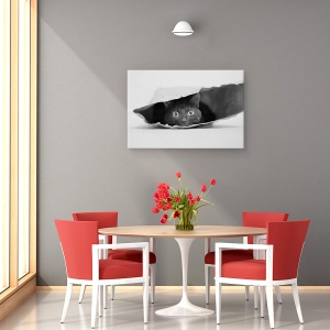Tablou canvas - Pisica din Punga, Sac, Pet, Animal, Dragut, 40 x 60 cm - Img 4