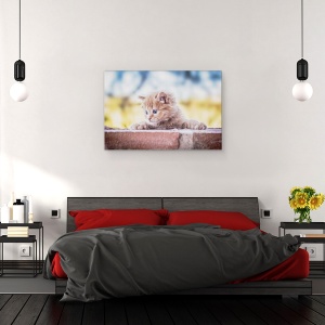 Tablou canvas - Pisica, Dragut, Animal, 40 x 60 cm - Img 3