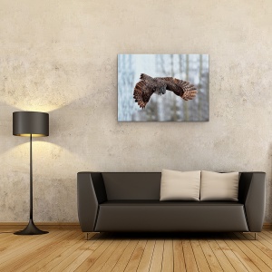 Tablou canvas - Planare, Natura, Bufnita Gri, Mare Gri, Salbatic, 60 x 80 cm - Img 2