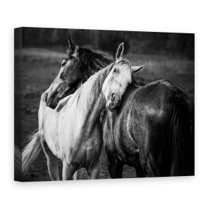 Tablou canvas - Ploaie Calda, Vitosha, Cai, Vara, 50 x 70 cm