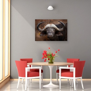 Tablou canvas - Portret De Bivol, Africa, Animal, Big, Botswana, Buffalo, 60 x 90 cm - Img 4
