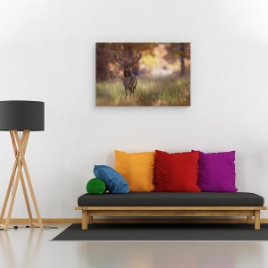 Tablou canvas - Pozand, Salbatic, Cerb, Caprioara, Padure, 40 x 60 cm - Img 2