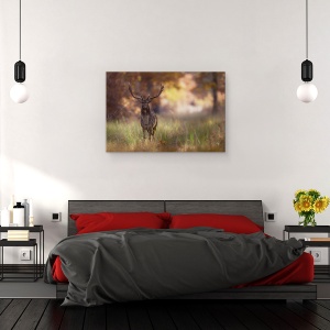 Tablou canvas - Pozand, Salbatic, Cerb, Caprioara, Padure, 60 x 90 cm - Img 3
