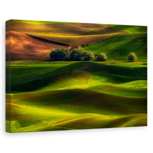 Tablou canvas - Primavara in Palouse, Peisaj, Verde, Camp, Copaci, 80 x 120 cm