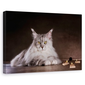 Tablou canvas - Prinde-Ma Daca Poti, Soarece, Amuzant, Umor, Pisica, Pet, 80 x 120 cm
