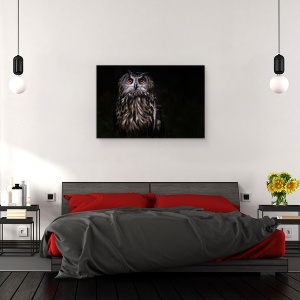 Tablou canvas - Printul Noptii, Pasare, Bufnita, Noapte, Ochi, Animal, 80 x 120 cm - Img 3