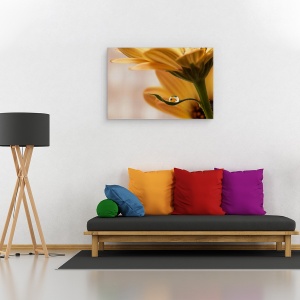 Tablou canvas - Protejat, Floare, Macro, Apa, 40 x 60 cm - Img 2