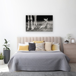 Tablou canvas - Protejat, Girafa, Copil, Cub, Dragut, Animal, 50 x 80 cm - Img 3