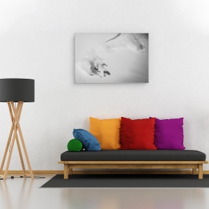 Tablou canvas - Pulbeaza, Schi, Munte, Franta, Hautes, Mormant, 60 x 90 cm - Img 2