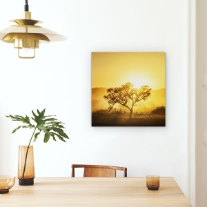Tablou Canvas - Rasarit Auriu, Peisaj, Africa, Rasarit, Copac, Gard, 60 x 60 cm - Img 4