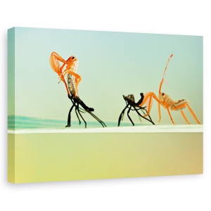 Tablou canvas - Re-nascut, Flori, Insecte, Portocaliu, 60 x 90 cm