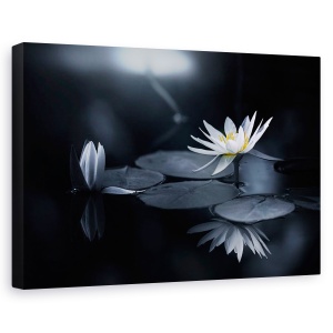 Tablou canvas - Reflectie, Zen, Spa, Flori, 40 x 60 cm