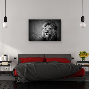 Tablou canvas - Regal, Nature, Leu, Rege, 60 x 90 cm - Img 3